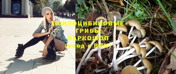 крисы Алексеевка