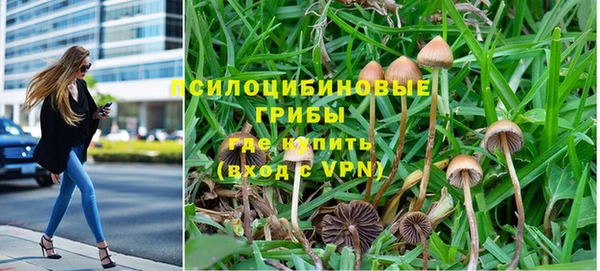 амф Абаза